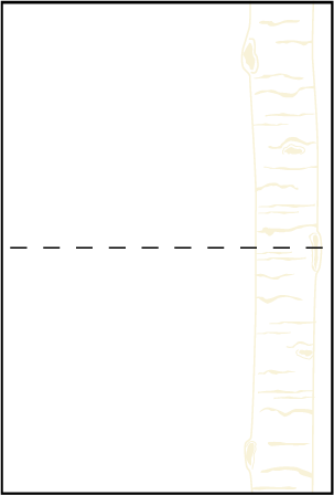 Birch Letterpress Placecard Fold Design Medium
