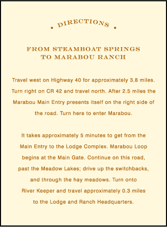 Branch Letterpress Direction Design Medium