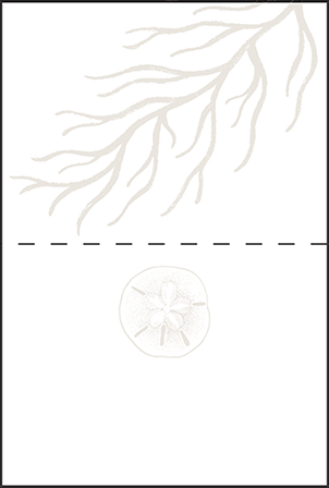 Breakers Letterpress Placecard Fold Design Medium