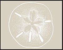 Breakers Letterpress Stamp Design Small