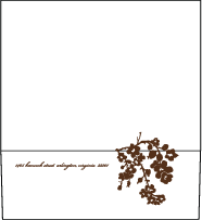 Mimosa Letterpress Envelope Design Small