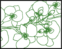 Romantic Floral Letterpress Stamp Design Small