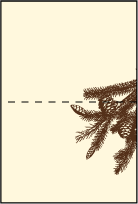 Rustic Lookout Letterpress Placecard Fold Design Small