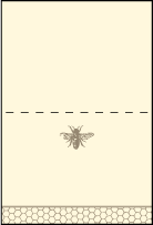 Splendor Letterpress Placecard Fold Design Small