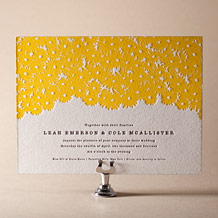 Sweet Daisy Letterpress Invitation Design Small