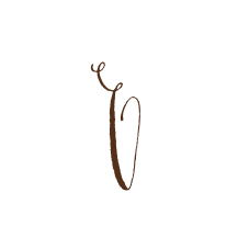 Monogram 1 Kam