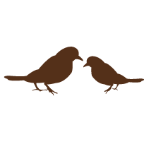 Allegory Birds