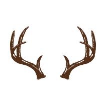 Antlers