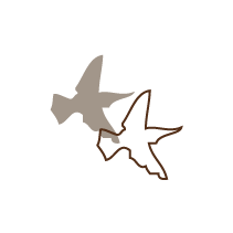 Barcelona Birds