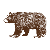 Bear 2