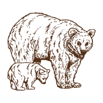 Bear and Cub 1