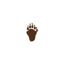 Bear Print