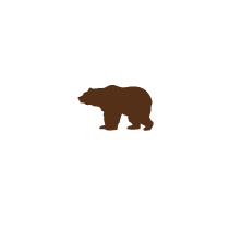 Bear 3