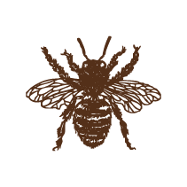 Bee 3