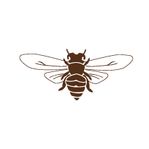 Bee 1