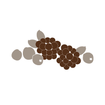 Berries