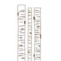 Birch