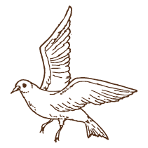Bird 2