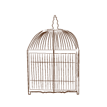 Birdcage