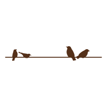 Birds on Wire 2