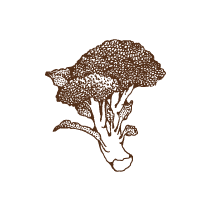 Broccoli 1