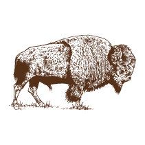 Buffalo