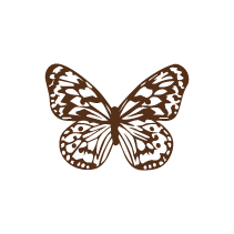 Butterfly 2