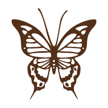 Butterfly 3
