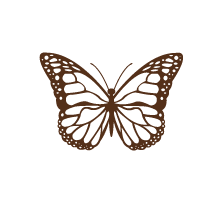 Butterfly 1