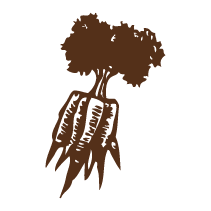 Carrot 1