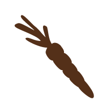 Carrot