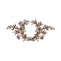 Cartouche 30