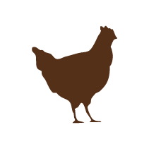 Chicken 1