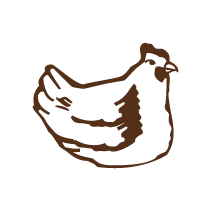 Chicken 2