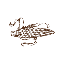 Corn