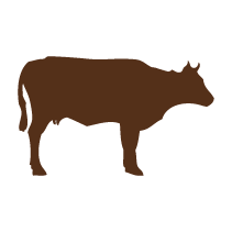 Cow 2