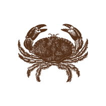 Crab 1