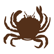 Crab 2