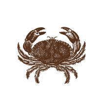 Crab