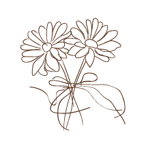 Daisy 1