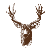 Deer 1