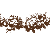 Delambre Border