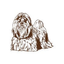 Dog 1
