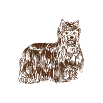 Dog 4