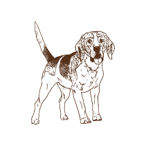 Dog 7