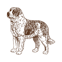 Dog 9