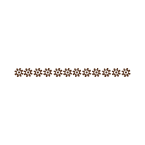 Esperanza Border 2