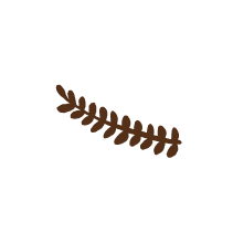 Fern 1