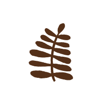 Fern 2