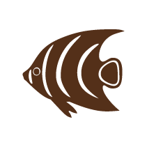 Fish 1
